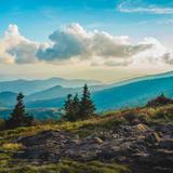 Roan Mountain State Park