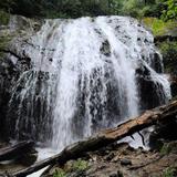 Glen Burney Falls Trail