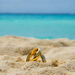 Honeymoon Fund