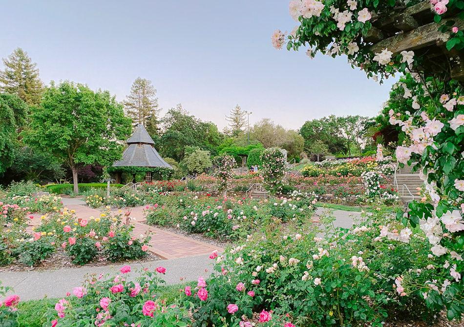 The Wedding Website of Eglantine Xieu and Anthony Li