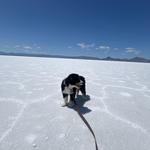 Bonneville Salt Flats