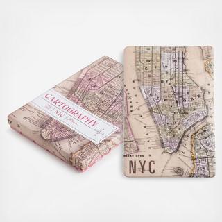 Cartography NYC Tray