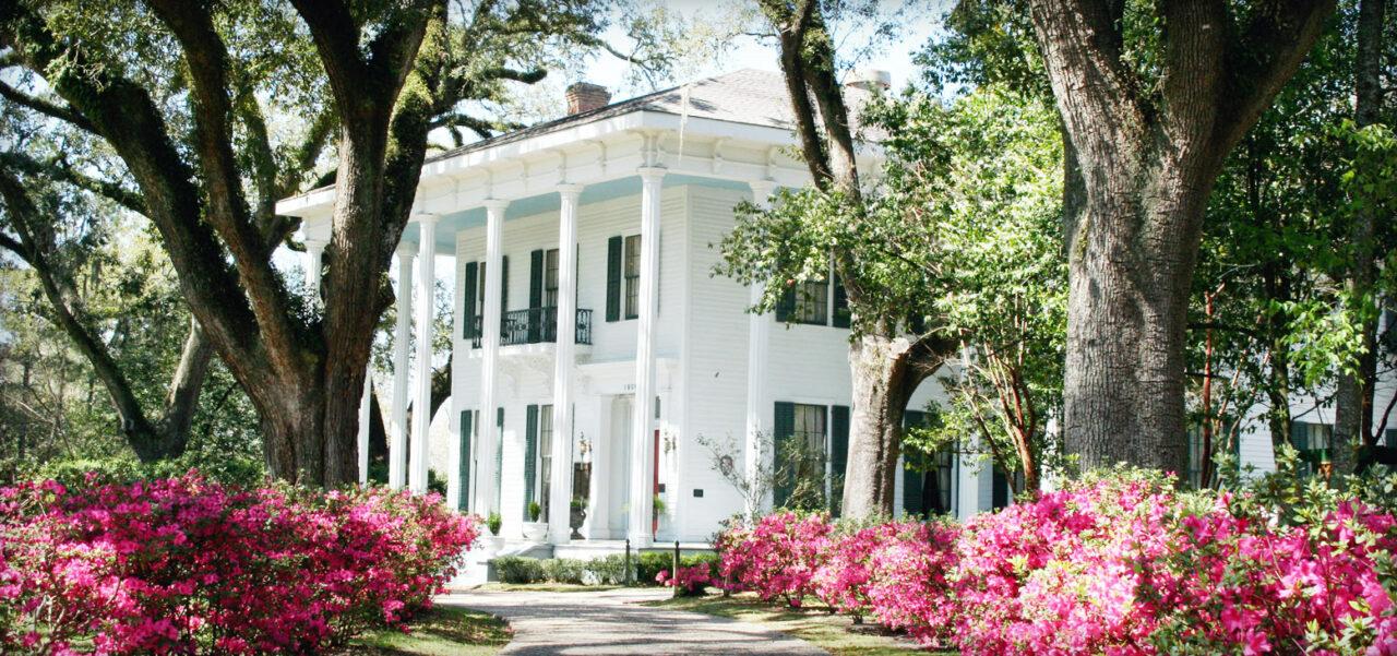 The Wedding Website of Alison Collins and Chad Looser
