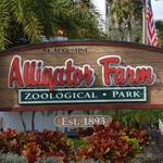 Alligator Farm