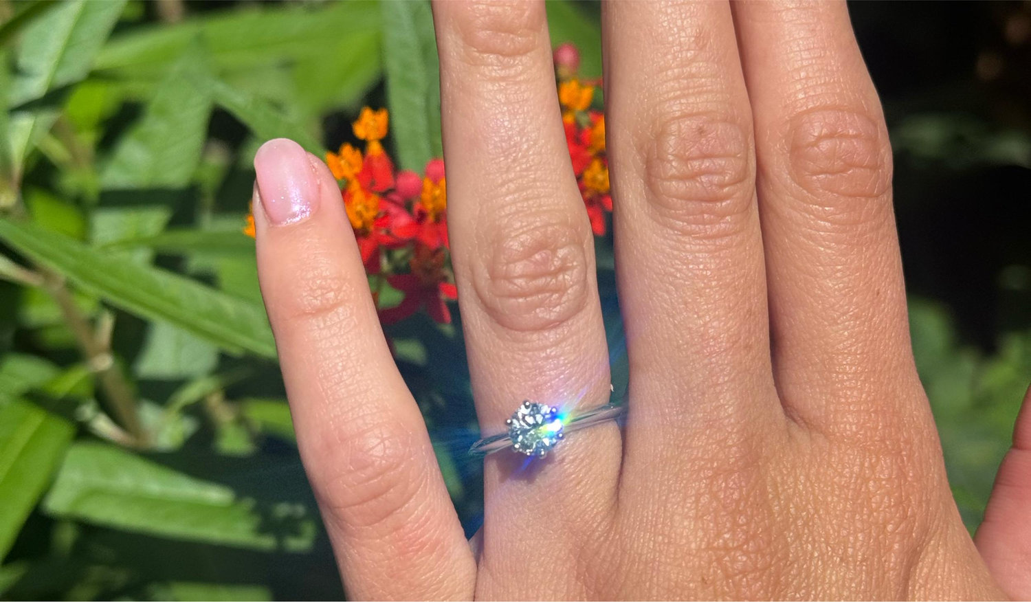 The Wedding Website of Chris Frieberg and Izzy Martinez