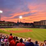 Greenville Drive