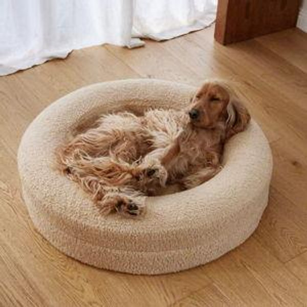 BarneyCurl Bed