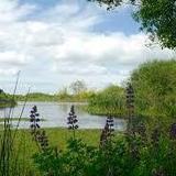 Arcata Marsh and Wildlife Sanctuary