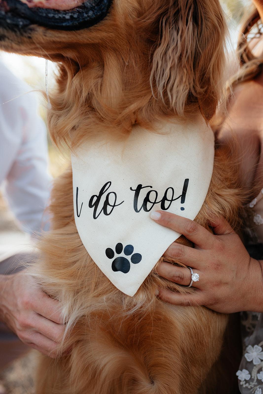 The Wedding Website of Haley Hatcher and Brandon Hyder