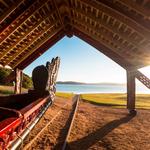 Waitangi Treaty Grounds