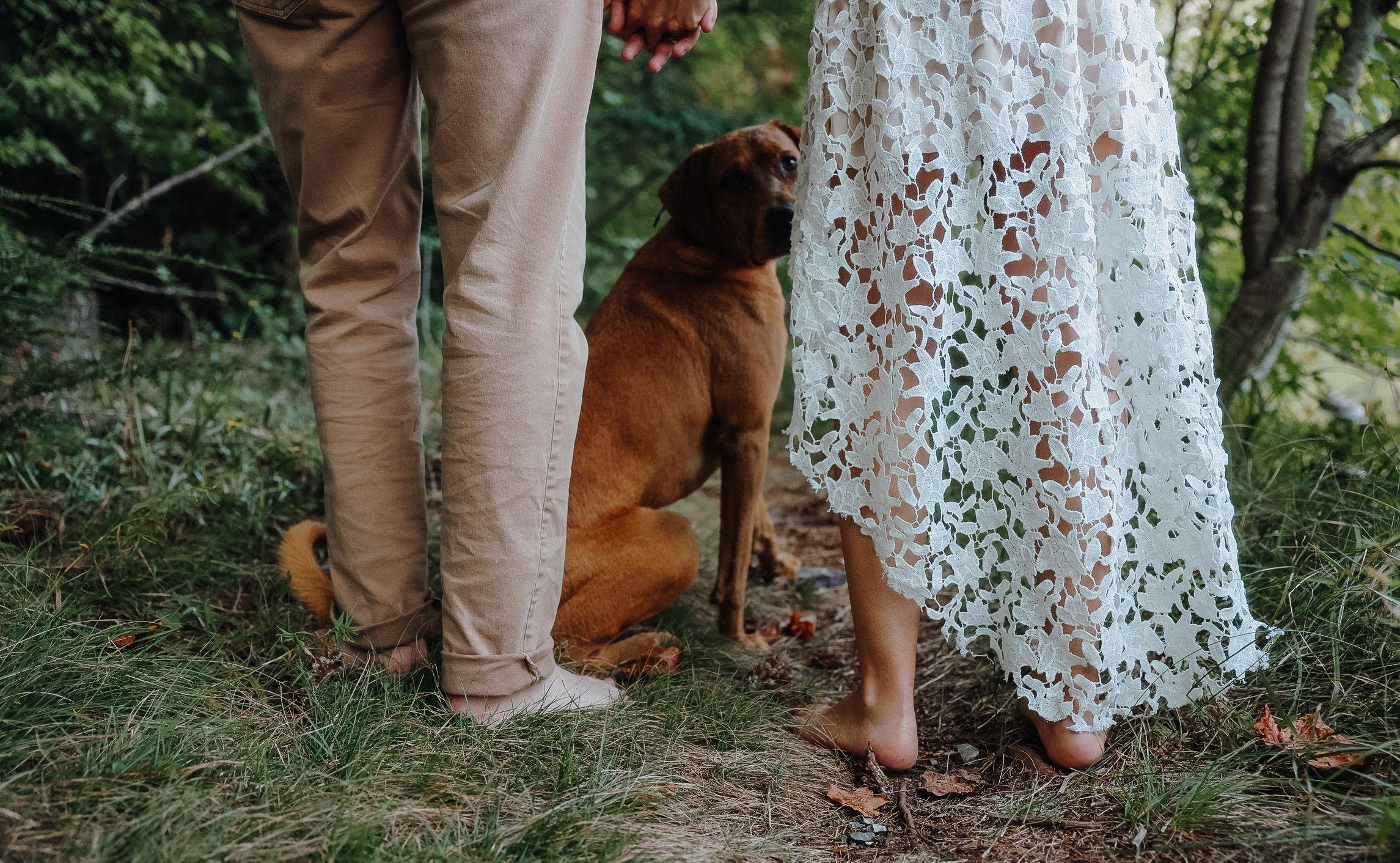The Wedding Website of Amanda Fernandez and Harrison Daves