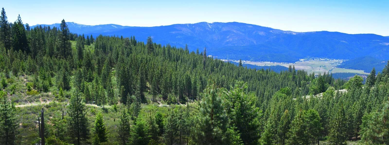 The Wedding Website of Steph Bramlett and Pancho Gomez