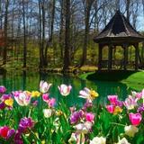 Gibbs Gardens