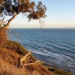 Douglas Family Preserve