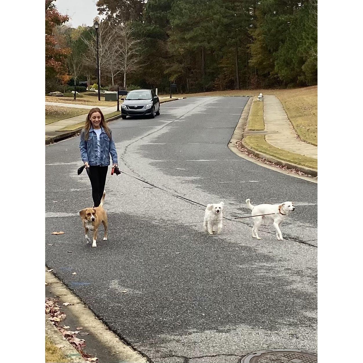 Our three boys: Cesky, Mac and Bacon. Mac is now in heaven