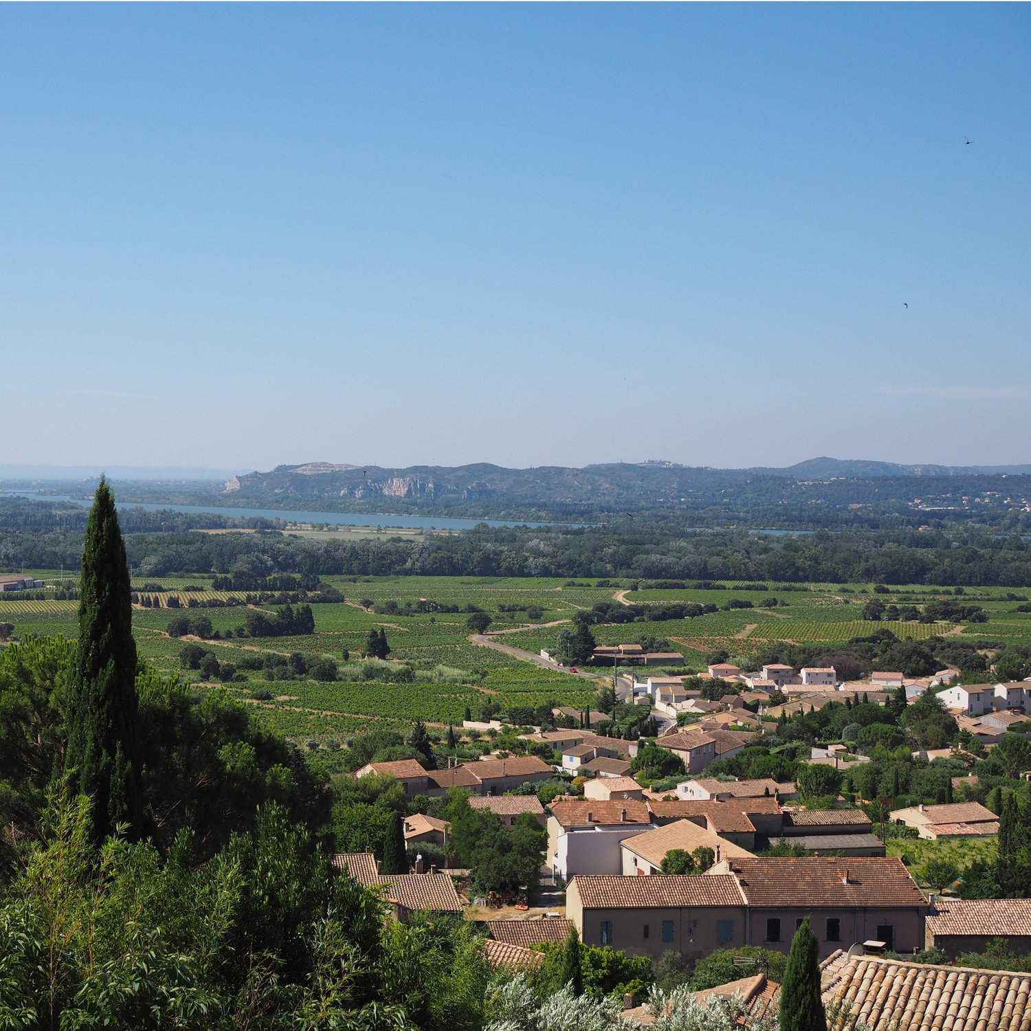 View of the Rhône River from Châteauneuf-du-Pape