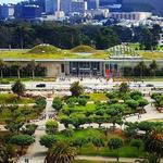 California Academy of Sciences