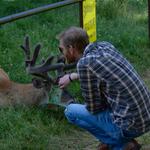 Wildwood Wildlife Park Zoo & Safari