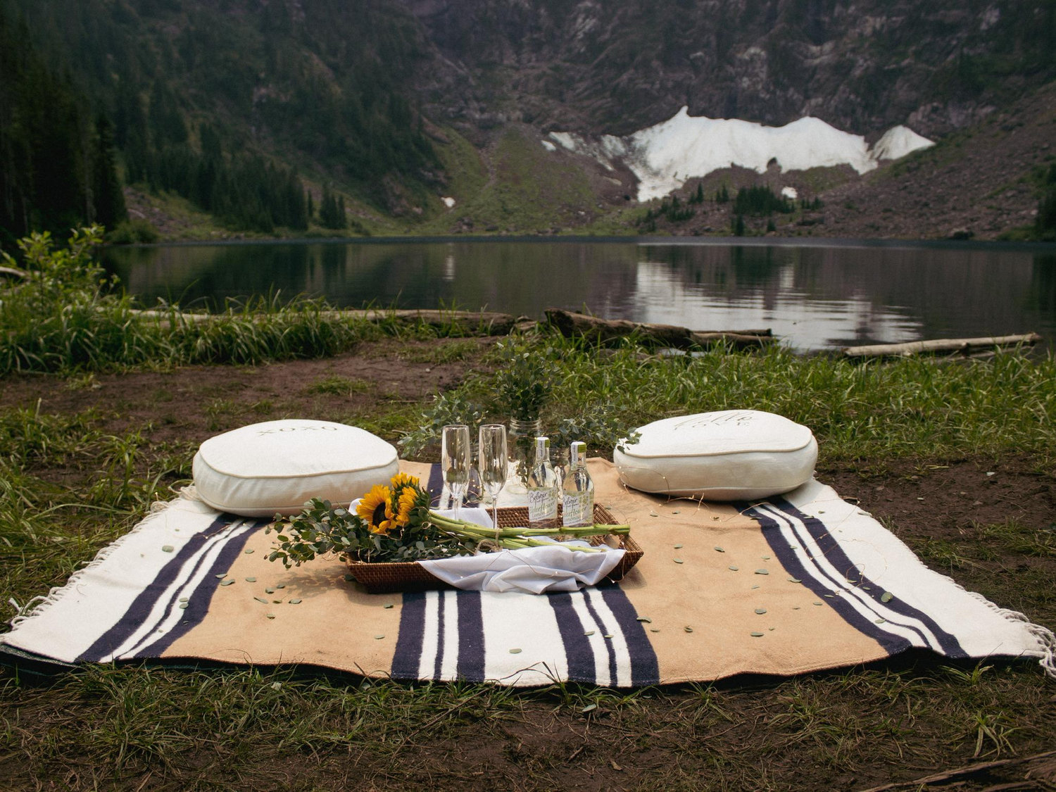The Wedding Website of Austin Fox and Noelle Pitz