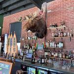 The Bull Moose Bar