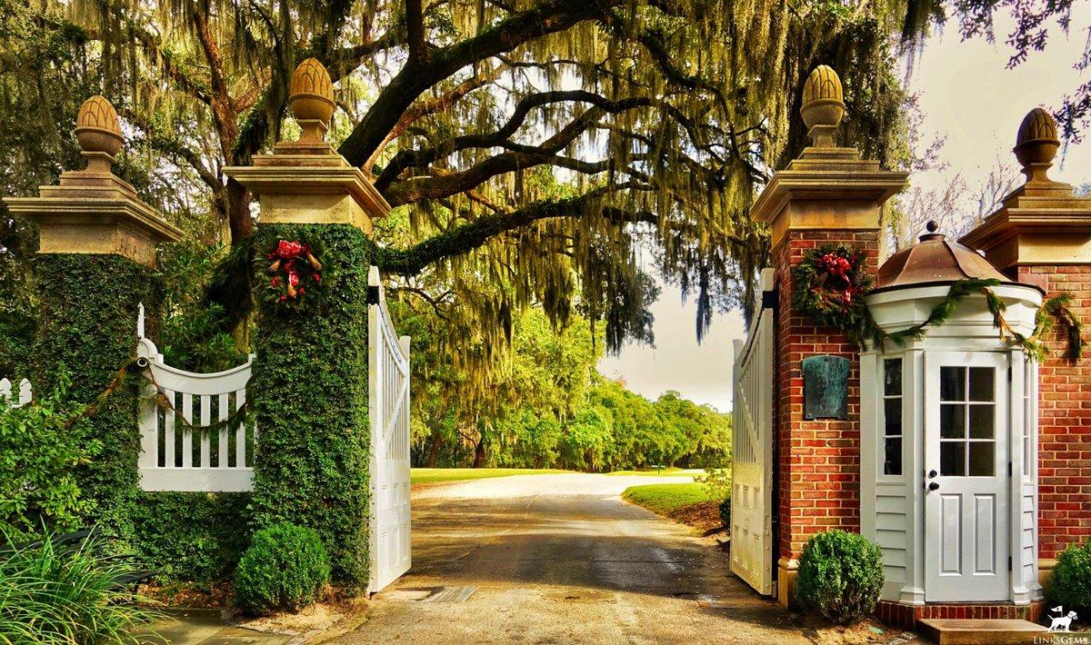 The Wedding Website of Emily Kellogg and Peter Gesualdi