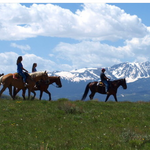 Keystone Stables