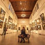 Museum of Fine Arts
