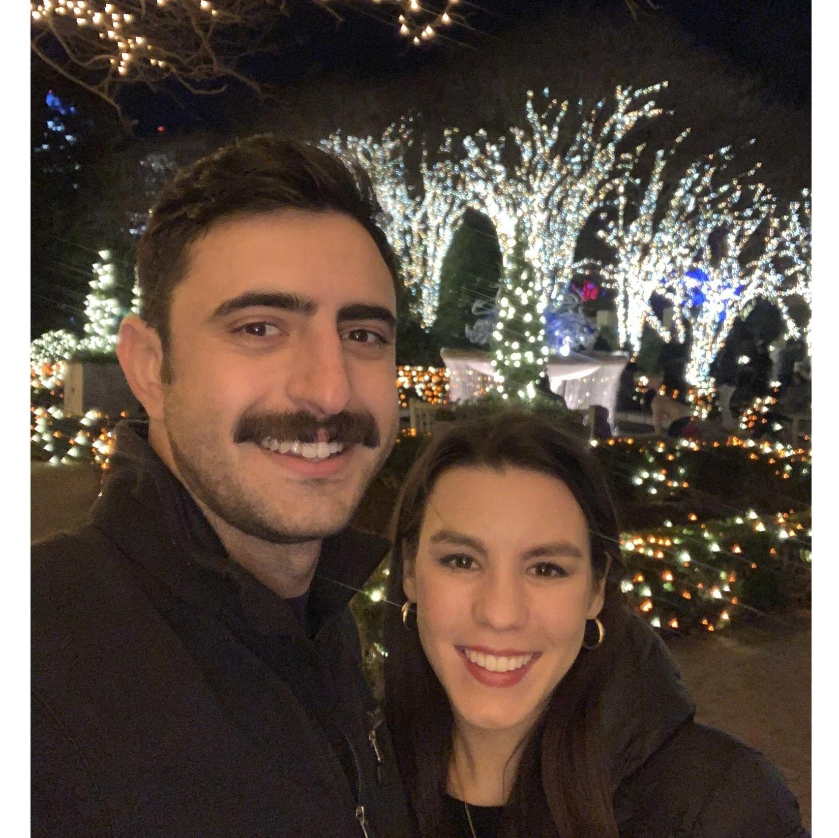 Christmas lights at the Atlanta Botanical Gardens