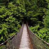 Lynn Canyon Suspension Bridge