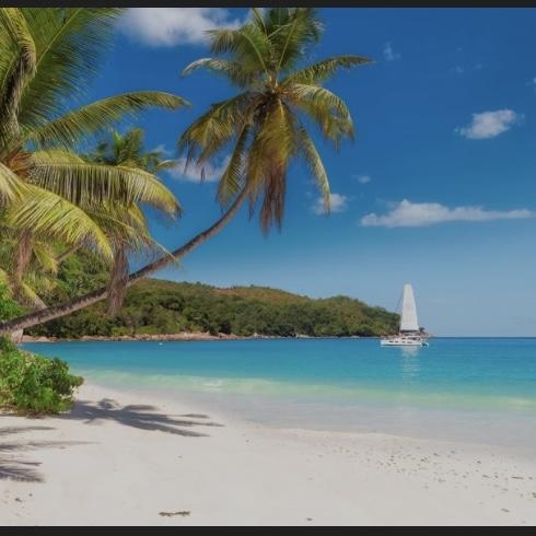 Honeymoon to Jamaica