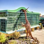 The Children's Museum of Indianapolis