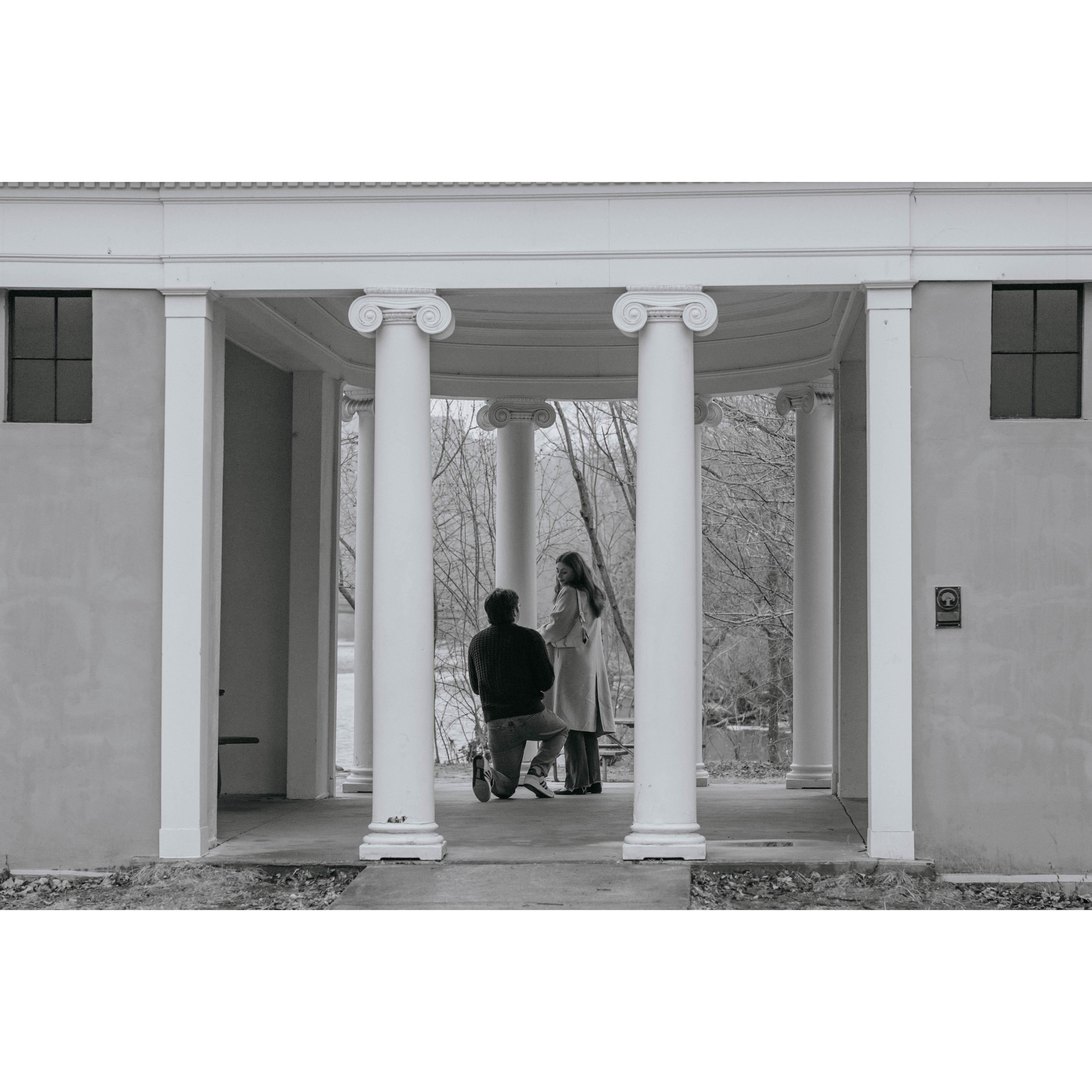 The moment Sean got down on one knee; Bella couldn't believe it. He playfully would pretend to propose often, when tying his shoes or faking a trip and fall. Not this time!