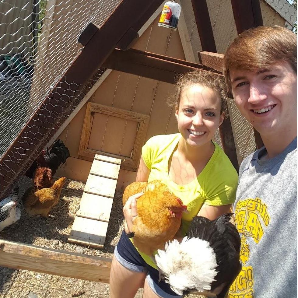 We raised backyard chickens for a few years - we as in Jon's mom Kris who took care of them most of the time.