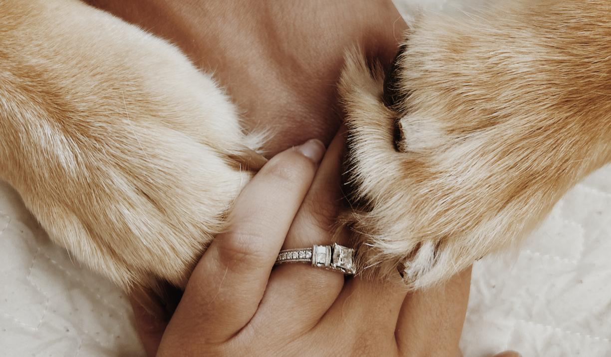 The Wedding Website of Taylor Hancock and Zach Roberson