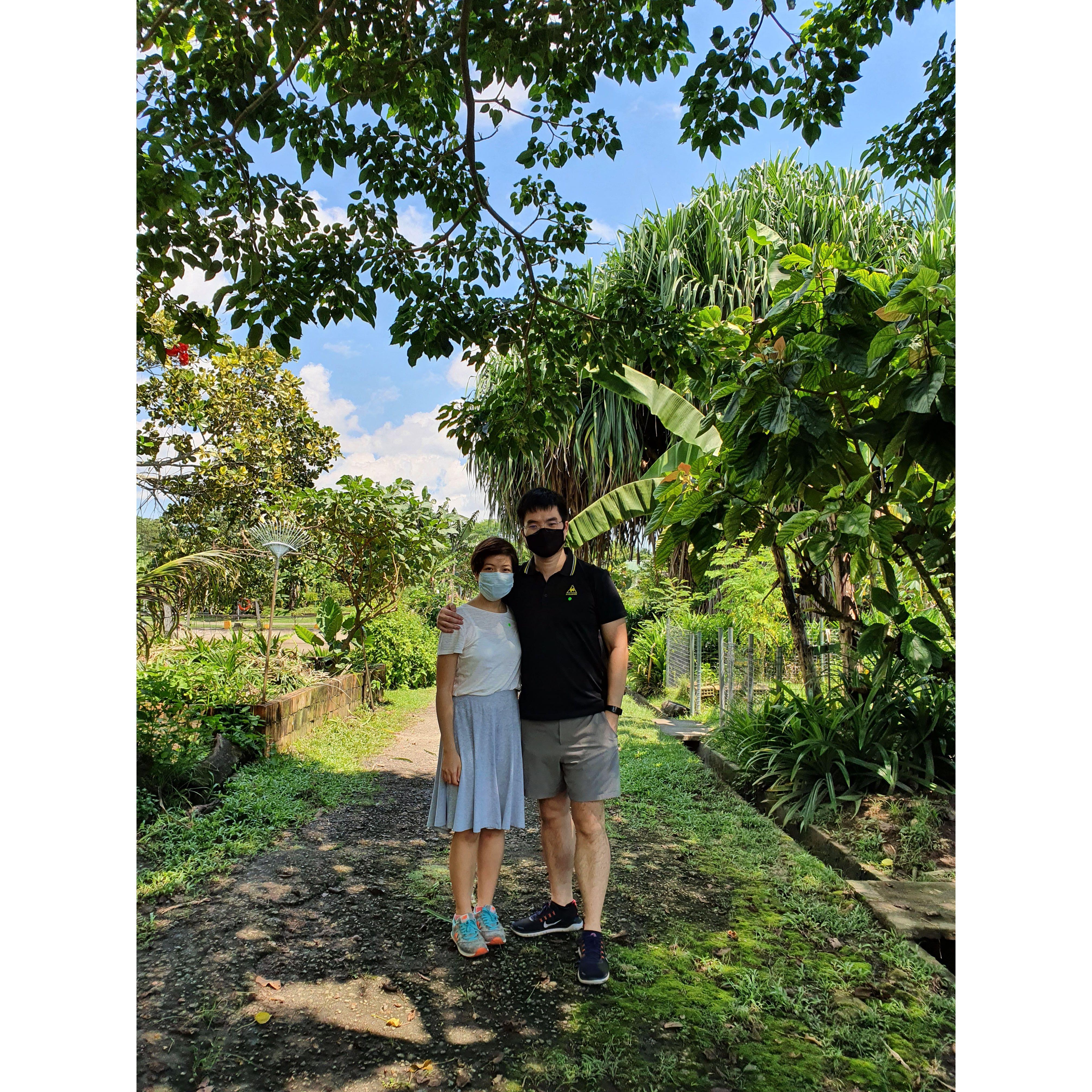 Bollywood Veggies (July 2020)