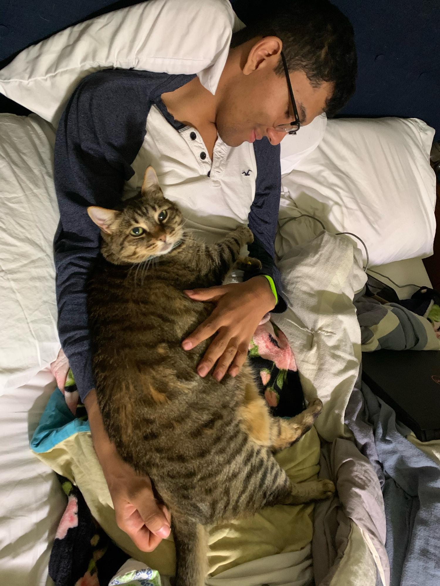 N knew B was the one when her cat loved him as much as she did. The feeling is mutual on his end.