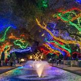 Houston Zoo Lights