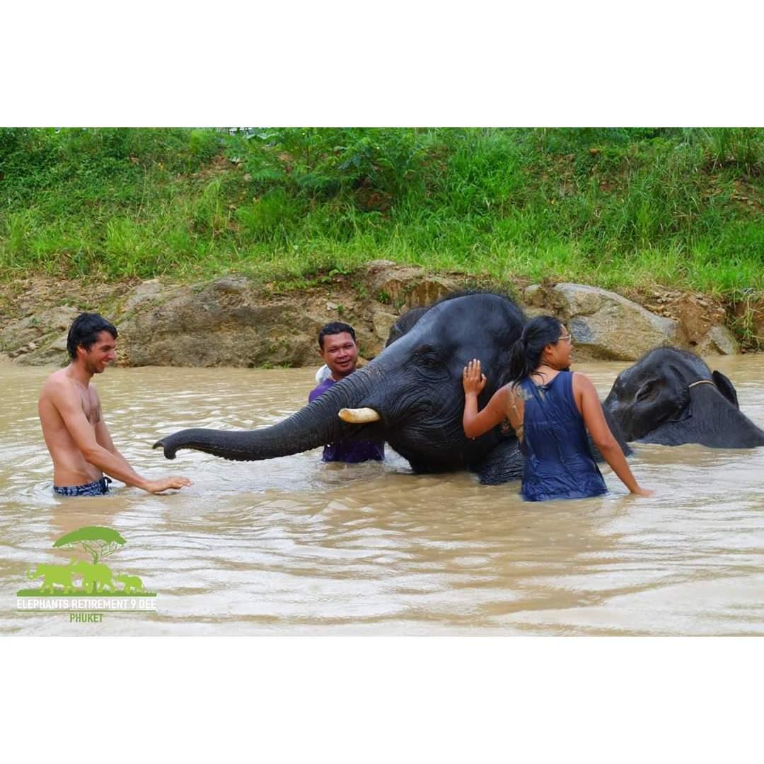Un bel bagno con dumbo