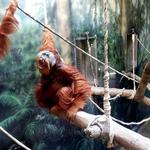 Fort Wayne Zoo
