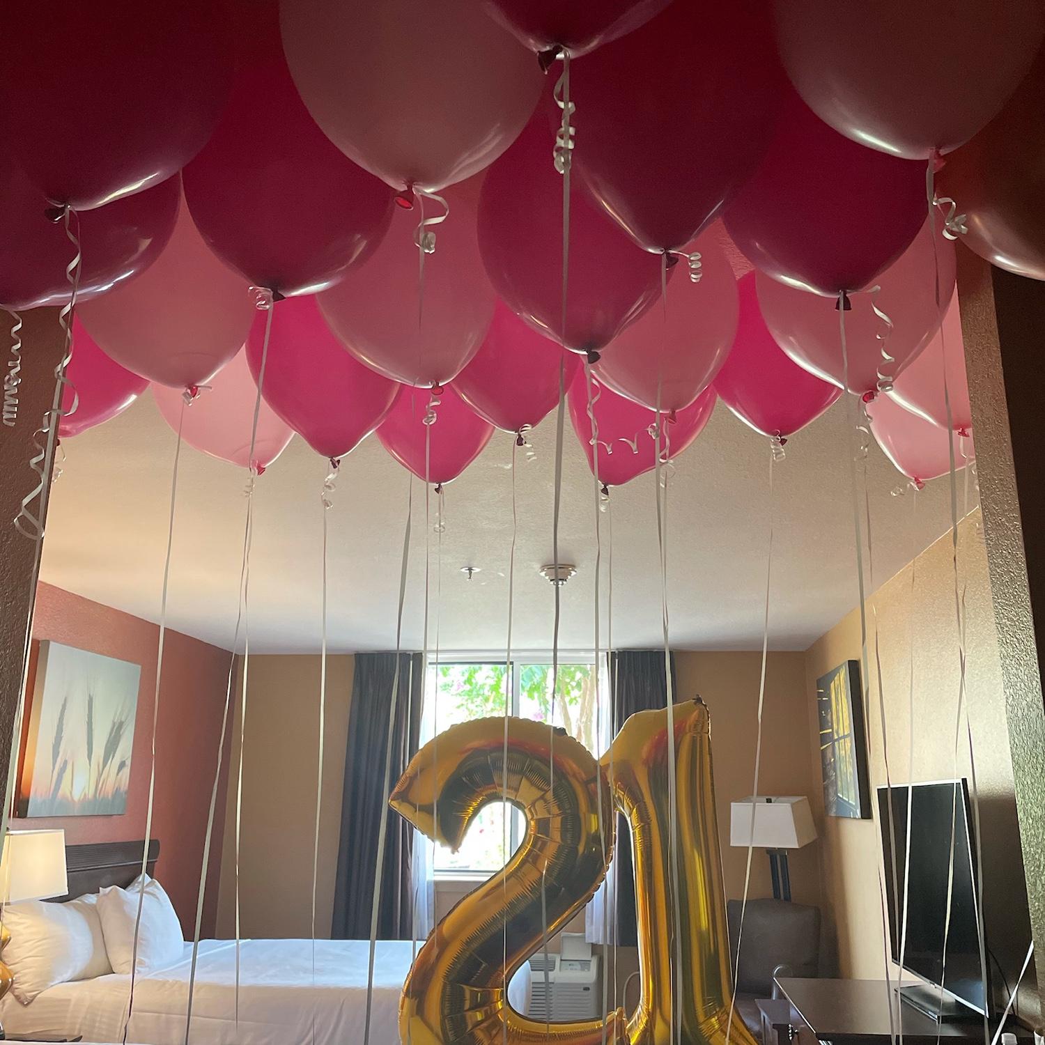Birthday surprise trip from Bryce to Zoe!