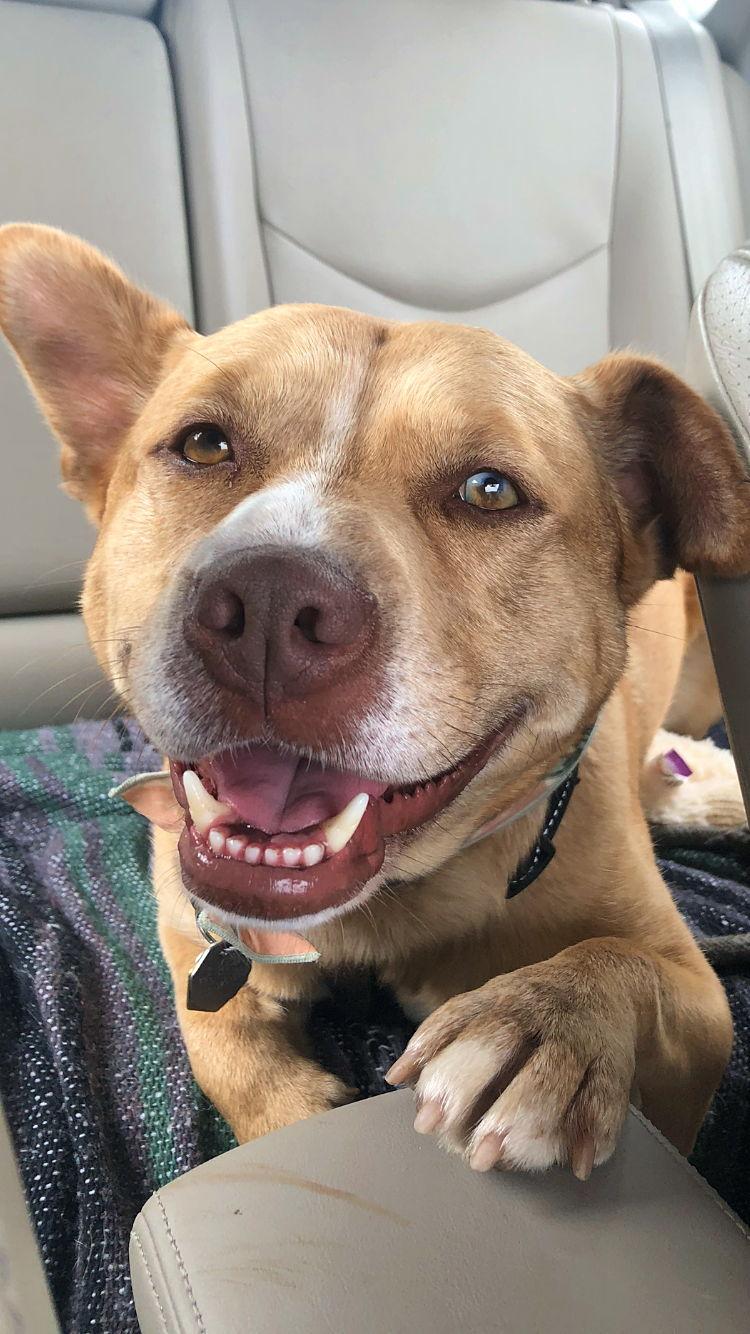 The Wedding Website of Sarah Puls and Kurt Manley