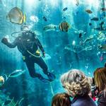 Aquarium of the Pacific