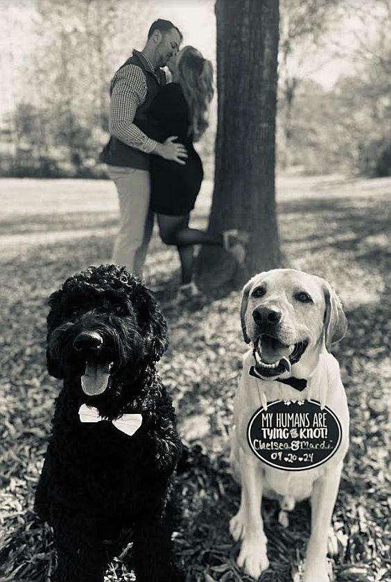 Chelsea Goldstein and Mardi Kouyoudjian's Wedding Website