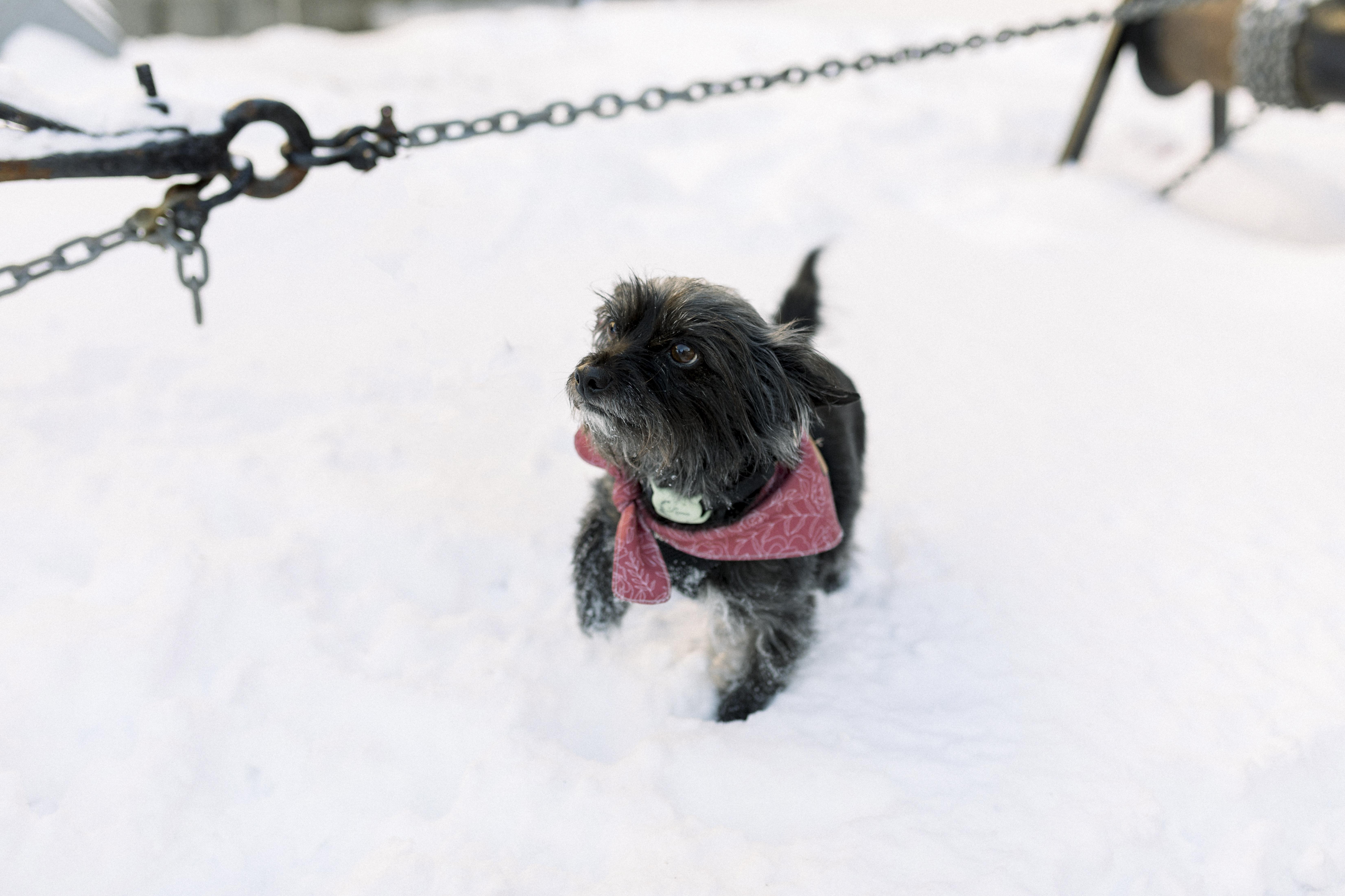 951ecebb-82f1-433c-905c-2137bdbb4eba