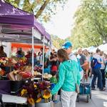 Boulder Farmers Market