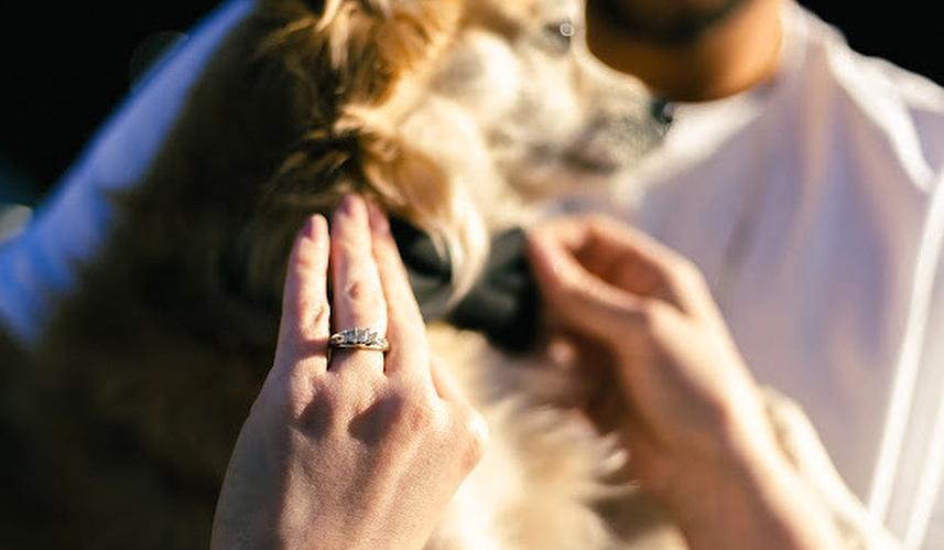 Hero Slideshow Image 2