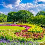 The Dallas Arboretum and Botanical Garden