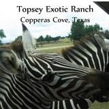 Topsey Exotic Ranch & Park