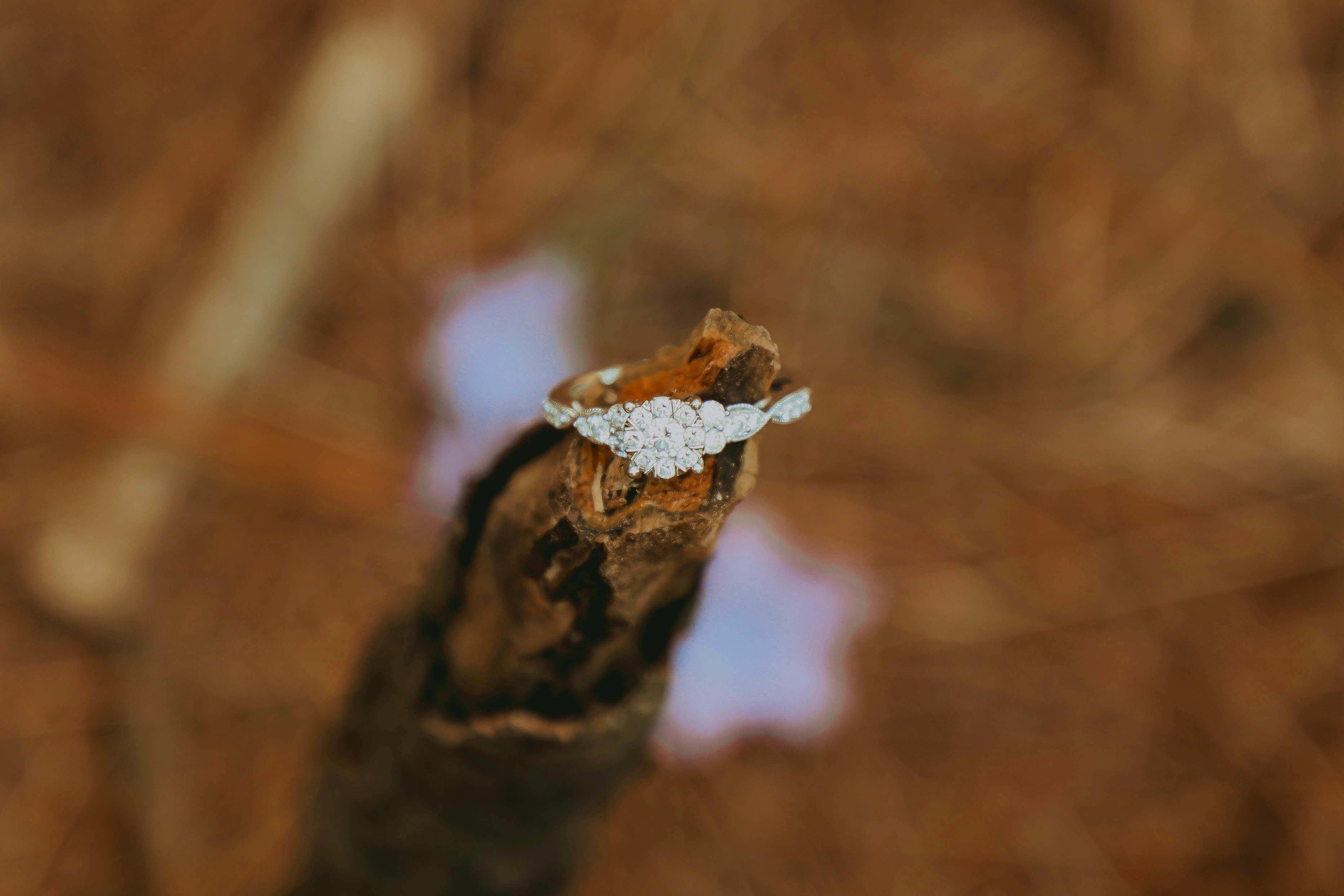 The Wedding Website of Courtney Greenwald and Derek Wagner