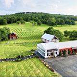 Sassafras Springs Vineyard and Winery